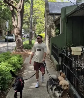 E.DOGGO walker heading down a leafy terrace street with four dogs on leads